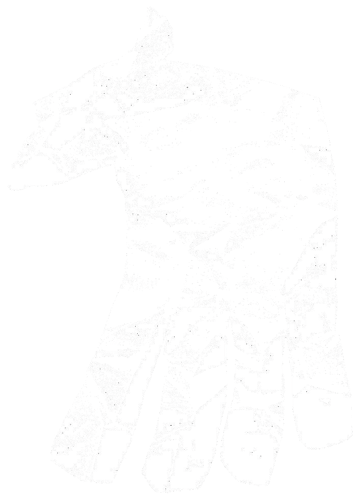 Struktur
