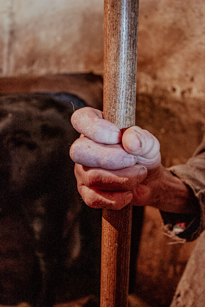 Die Hand von Bernhard